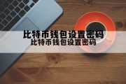 比特币钱包转账视频教程，比特币钱包设置密码