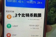 两个比特币多少人民币，2个比特币截图