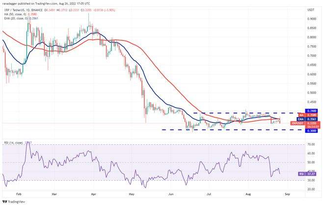 2016年比特币人数下降,2016年比特币人数 2016年比特币人数下降,2016年比特币人数