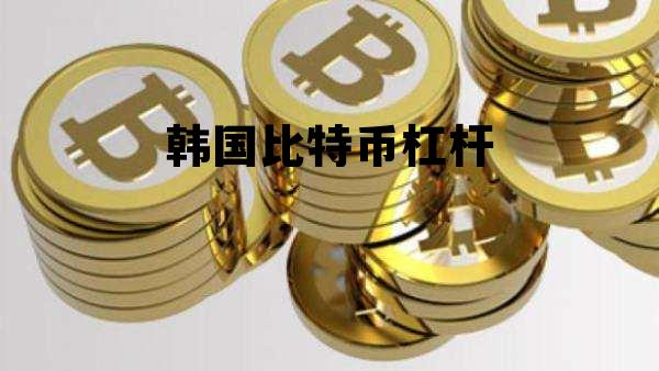韩国比特币杠杆多少,韩国比特币杠杆 韩国比特币杠杆多少,韩国比特币杠杆