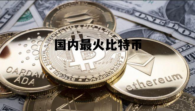 国内比特币大户,国内最火比特币 国内比特币大户,国内最火比特币