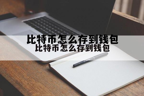 比特币钱包可以存哪些币，比特币怎么存到钱包