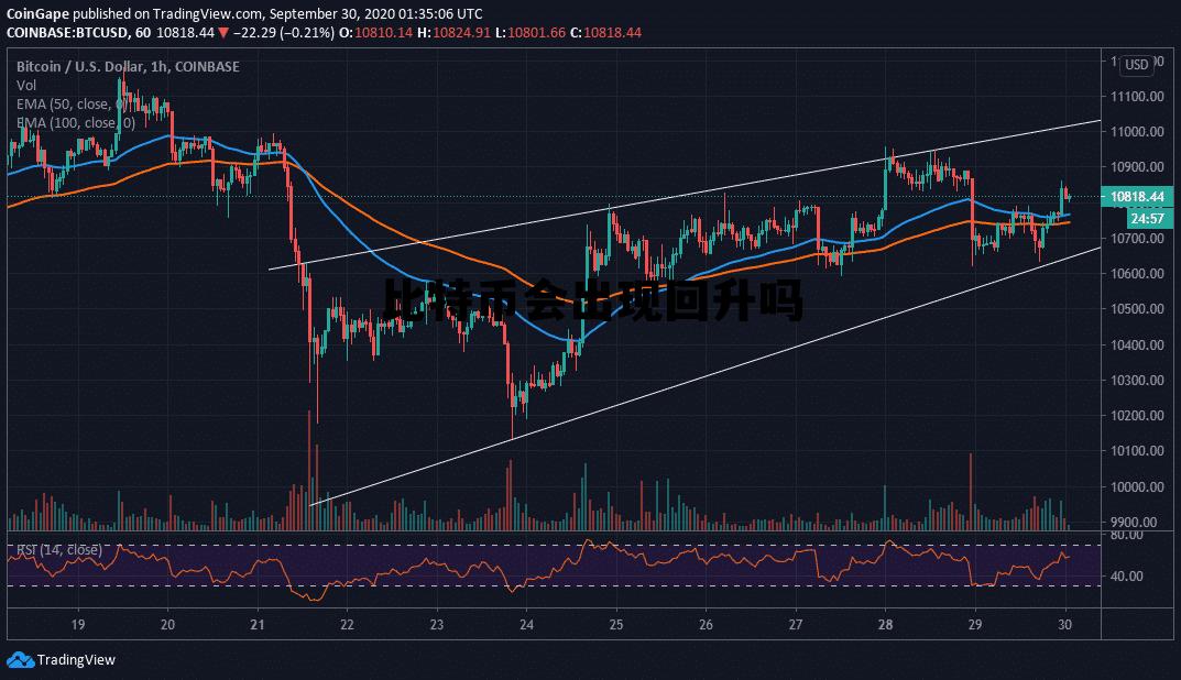 比特币会出现回升吗知乎,比特币会出现回升吗 比特币会出现回升吗知乎,比特币会出现回升吗
