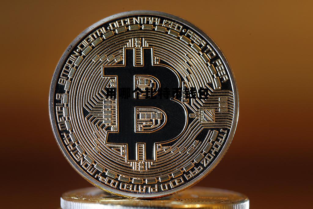 用哪个比特币钱包的简单介绍