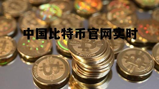 中国比特币官网登录，中国比特币官网实时