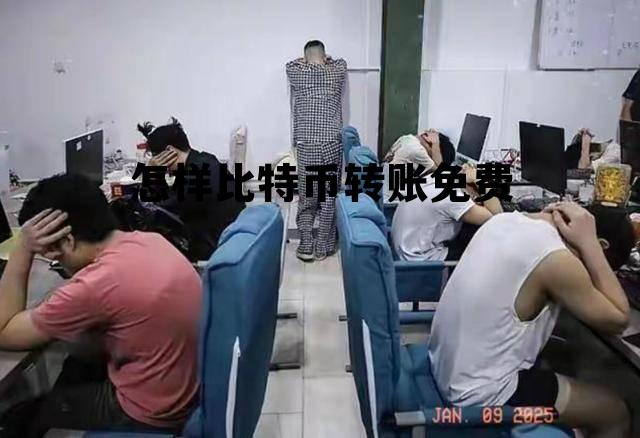 比特币转账费用太高攻略,怎样比特币转账免费 比特币转账费用太高攻略,怎样比特币转账免费