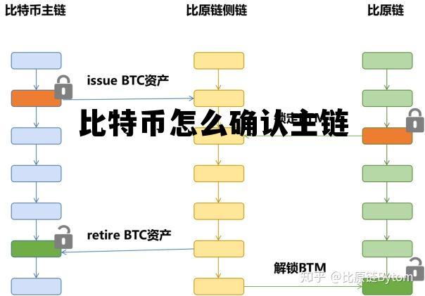 怎么看比特币主力建仓情况，比特币怎么确认主链