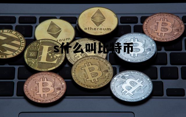 什么叫比特币比特币是什么意思，s什么叫比特币
