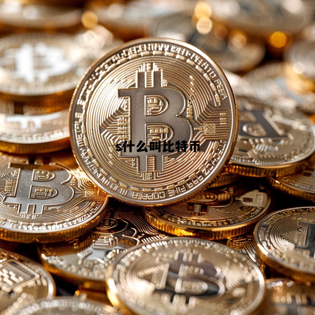 什么叫比特币比特币是什么意思，s什么叫比特币