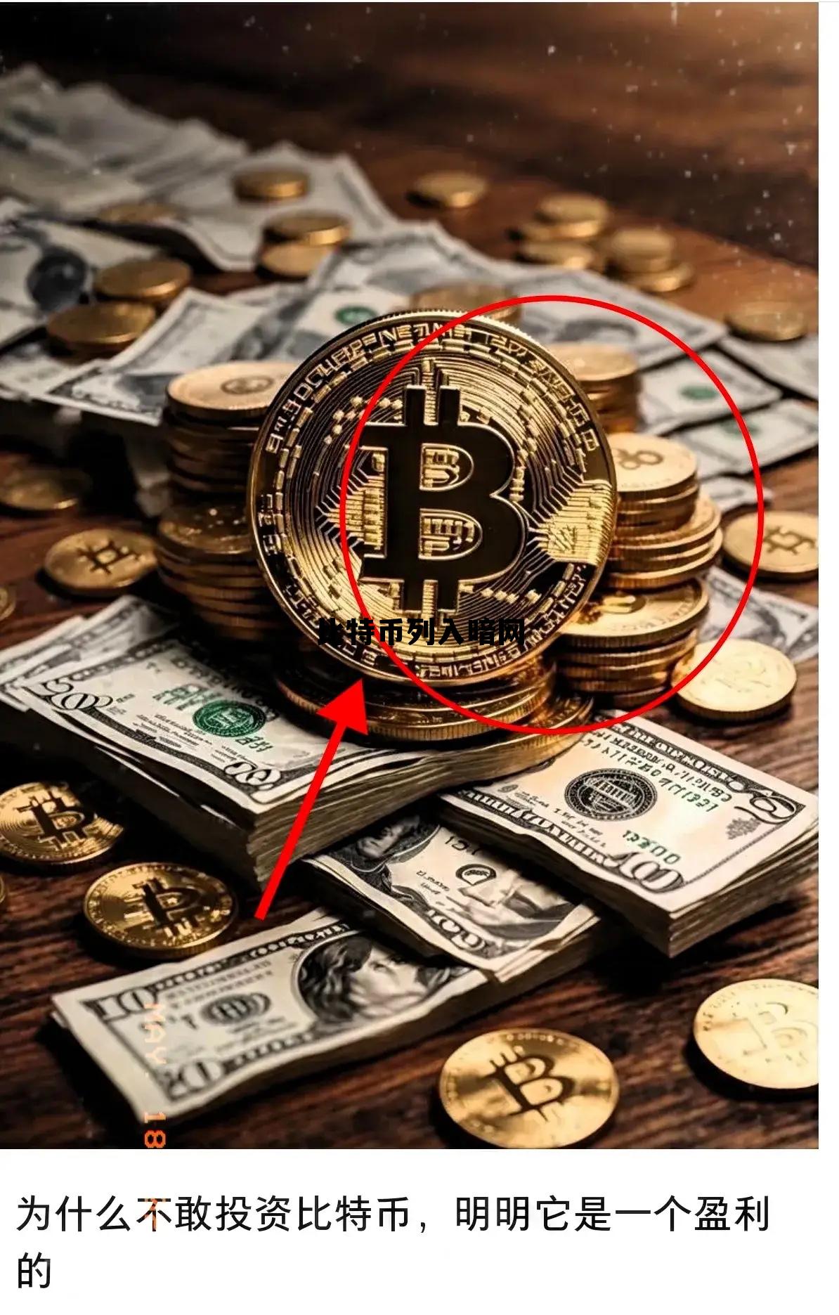 包含比特币列入暗网的词条