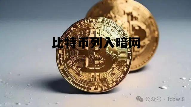 包含比特币列入暗网的词条