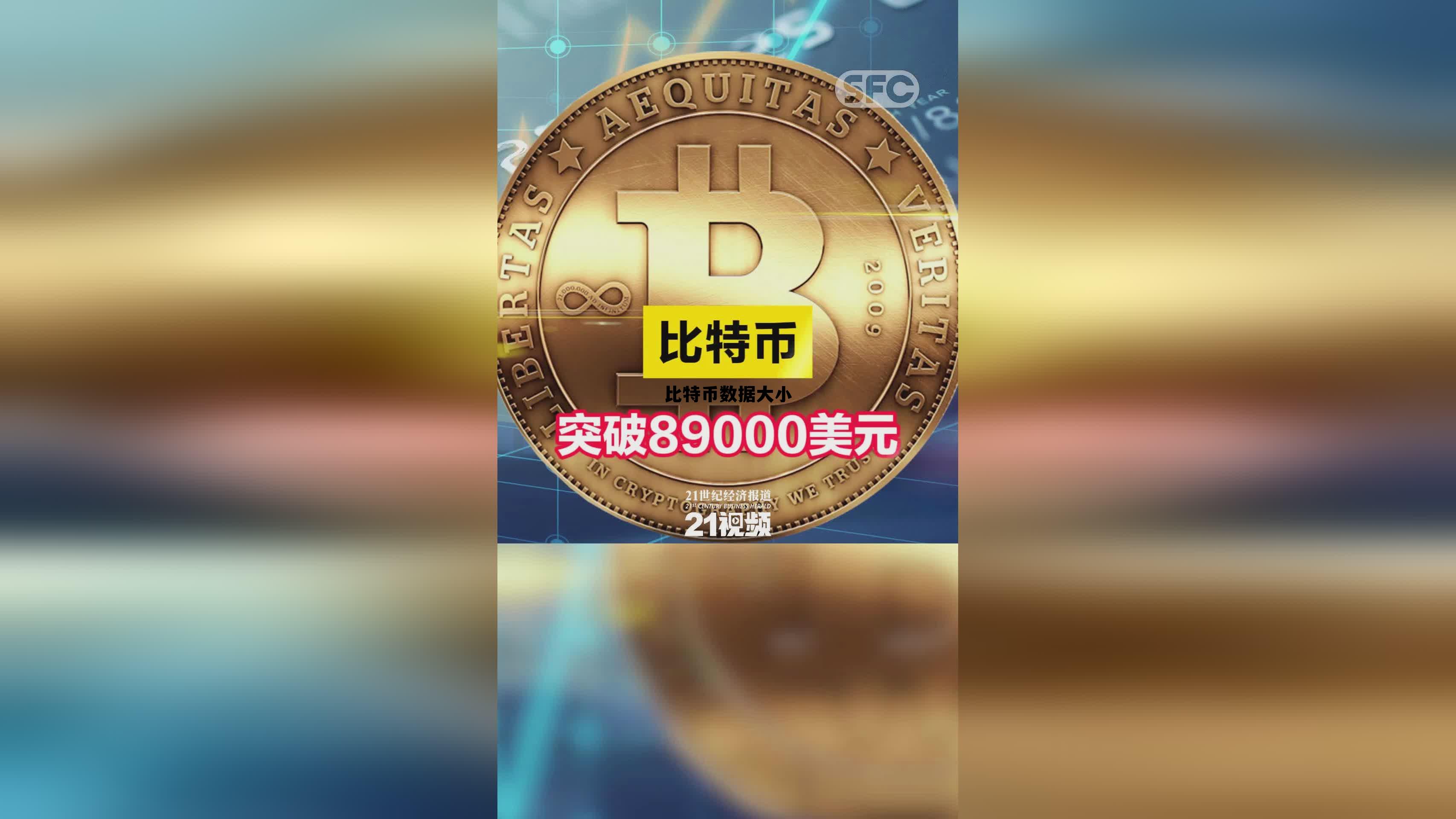 比特币占比多少的含义,比特币数据大小 比特币占比多少的含义,比特币数据大小