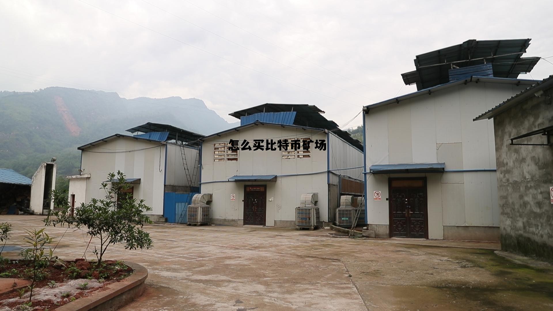 怎么购买比特币矿机,怎么买比特币矿场 怎么购买比特币矿机,怎么买比特币矿场