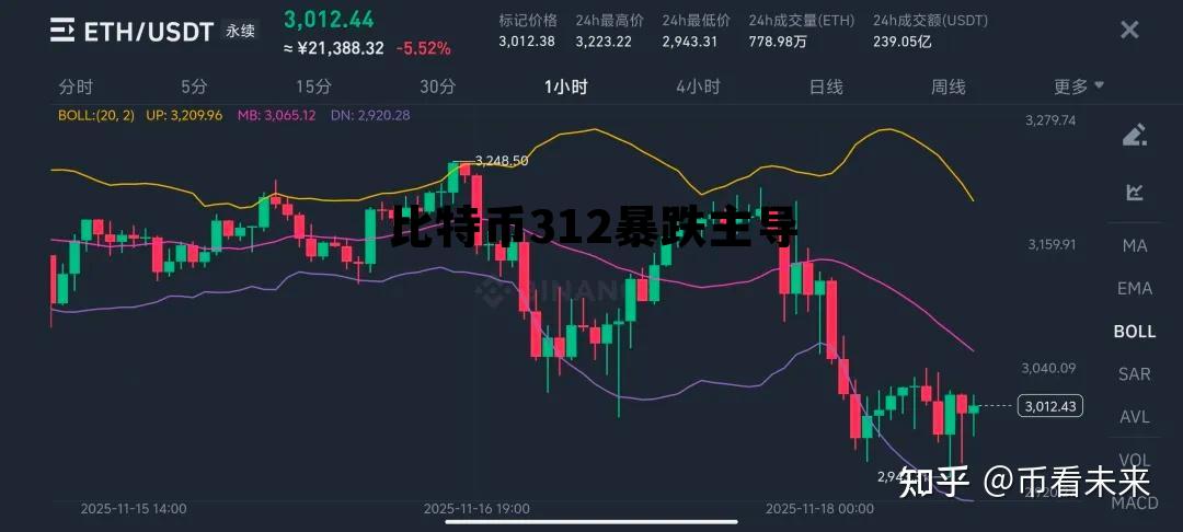423比特币暴跌，比特币312暴跌主导